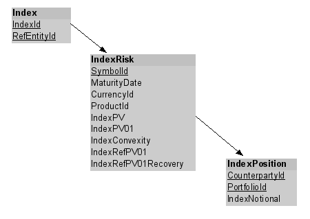 Index risk data model